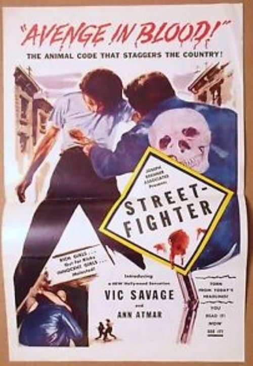 Street Fighter poster