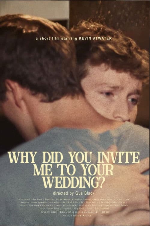 Why did you invite me to your wedding? poster