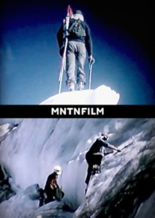 Wings on the Himalayas poster