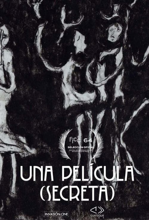 Una película (secreta) poster
