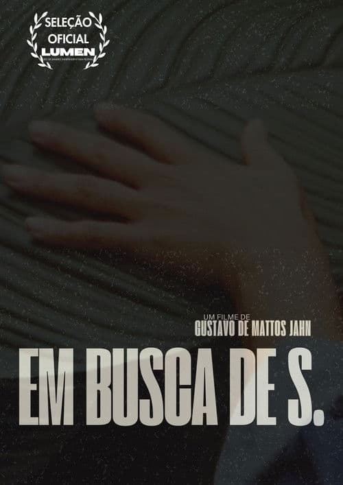 Em Busca de S. poster