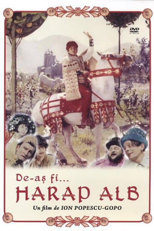 The White Moor poster