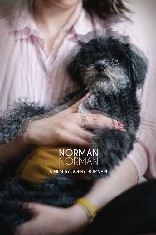 Norman Norman poster