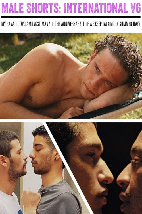 Male Shorts: International V6 poster