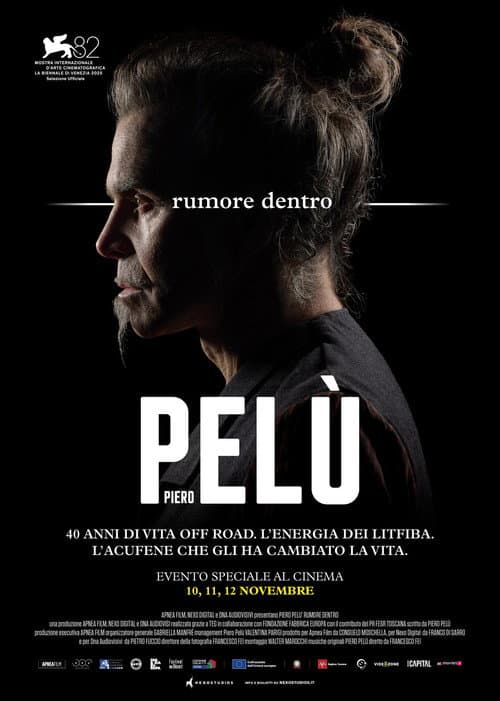 Piero Pelù - Rumore dentro poster
