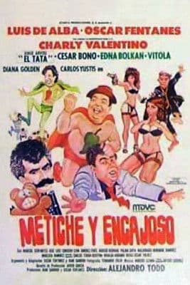 Metiche y encajoso poster