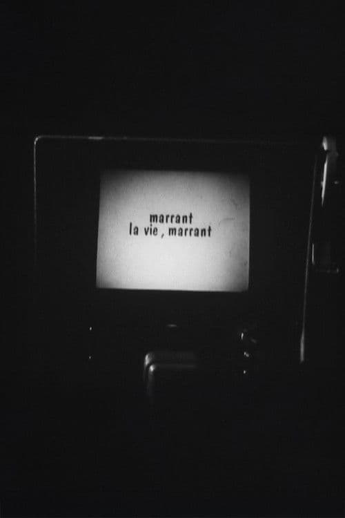 Marrant la vie, Marrant ! poster