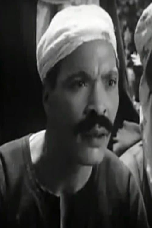 Sayed Ghoneim profile photo