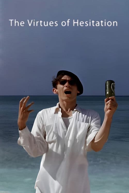 The Virtues of Hesitation poster