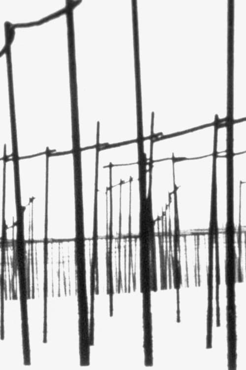 Der weiße Hopfengarten poster