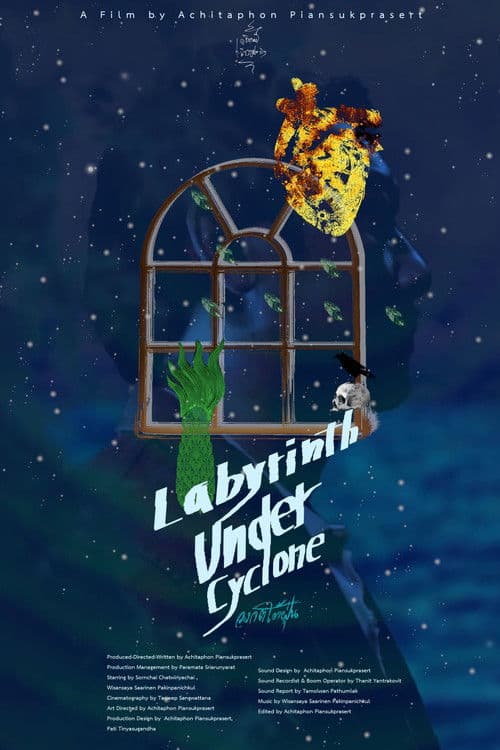 Labyrinth Under Cyclone poster