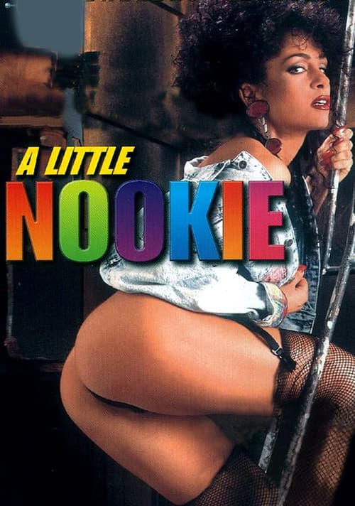 A Little Nookie poster