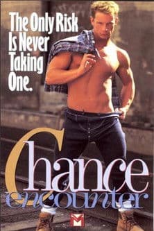 Chance Encounter poster