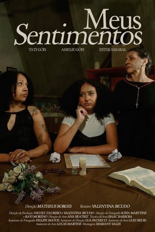 Meus Sentimentos poster