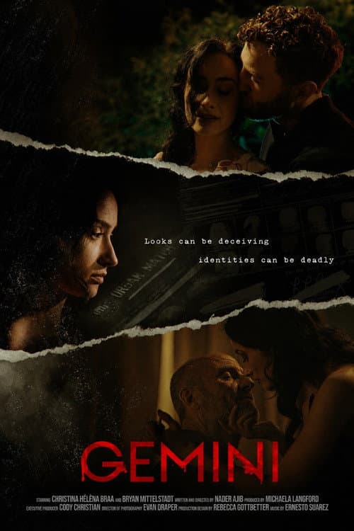 Gemini poster