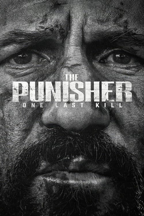 The Punisher: One Last Kill poster