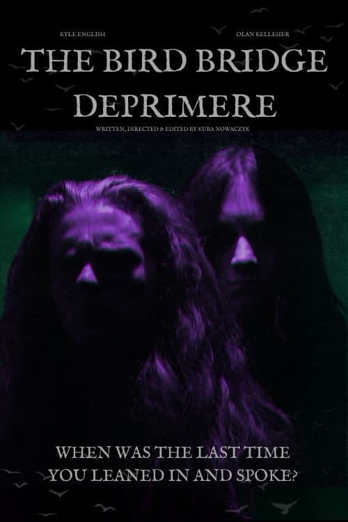 The Bird Bridge Deprimere poster