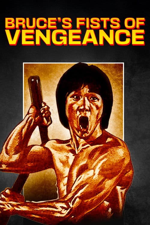Bruce's Fists Of Vengeance poster