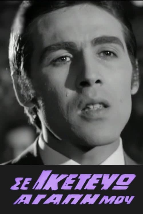 I'm begging you my love poster