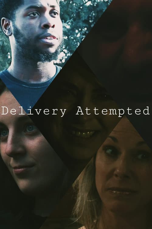Delivery Attempted poster
