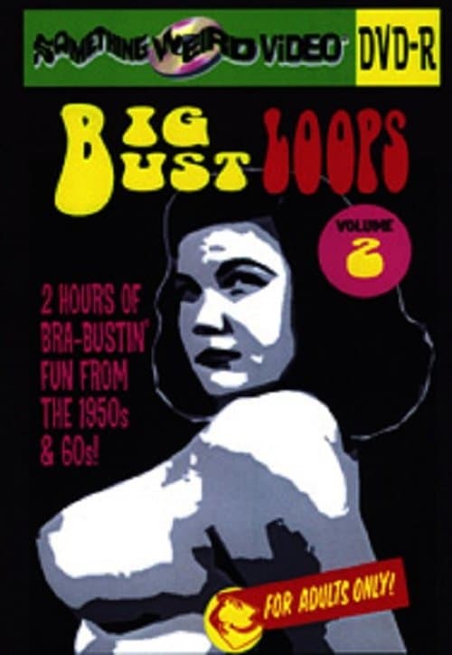Big Bust Loops Volume 2 poster