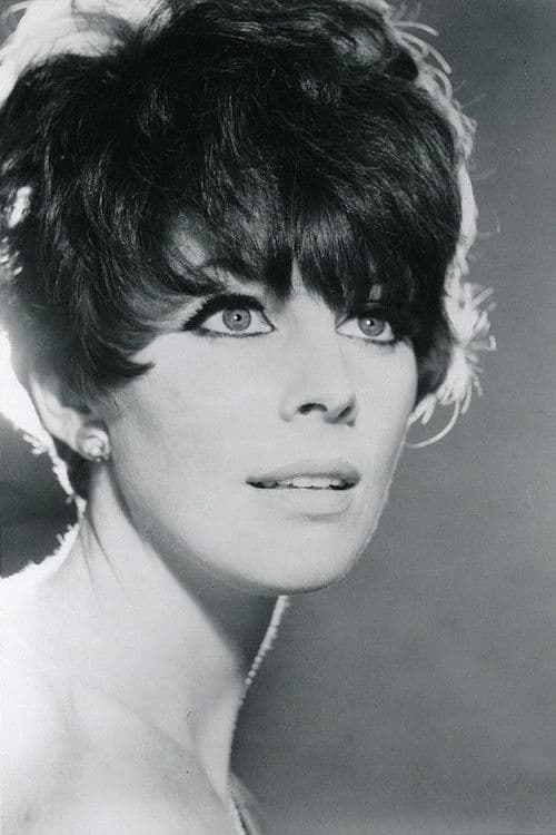 Elizabeth Knowles profile photo