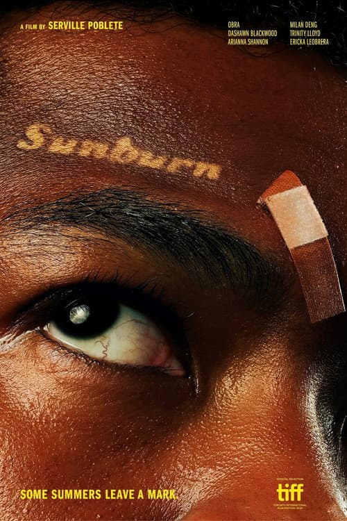 Sunburn poster