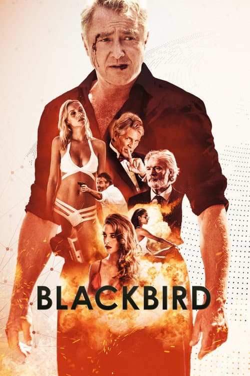 Blackbird poster