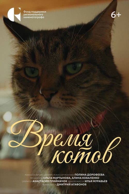 The Time of Cats poster