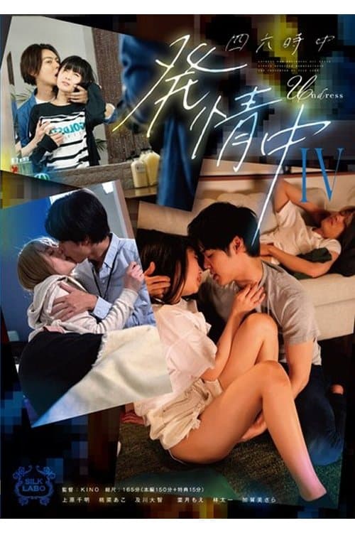 SILK-178 四六時中発情中 IV poster