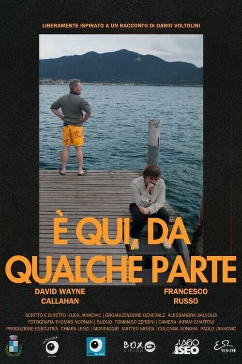 È qui, da qualche parte poster