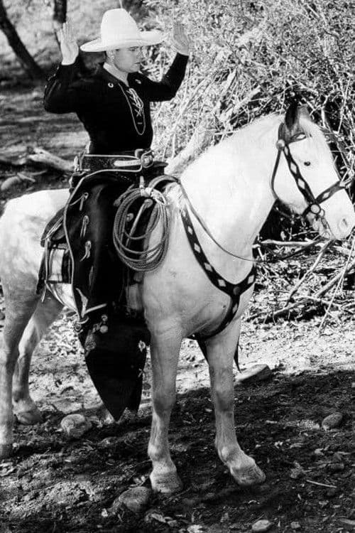 Border Vengeance poster