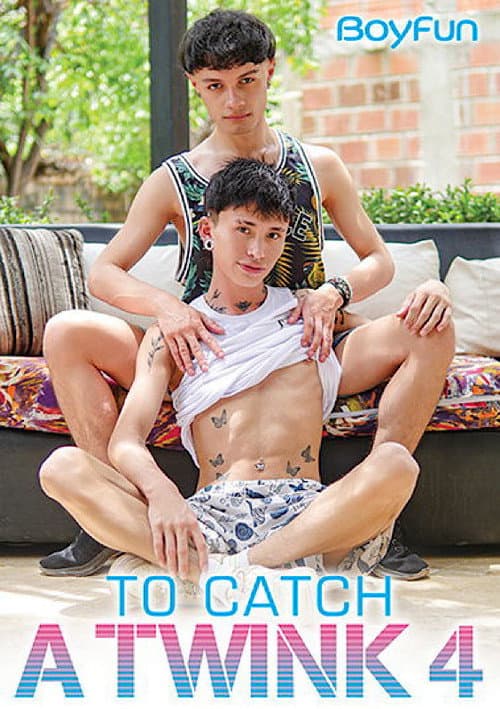 To Catch a Twink 4 poster