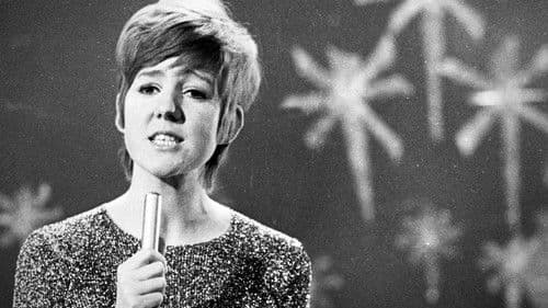 Cardigans at Christmas poster