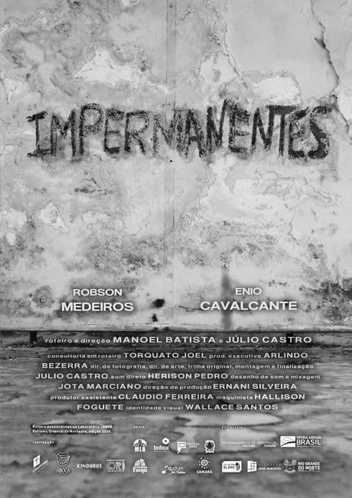 Impermanentes poster