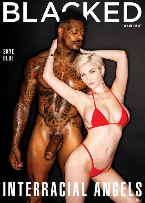 Interracial Angels 3 poster