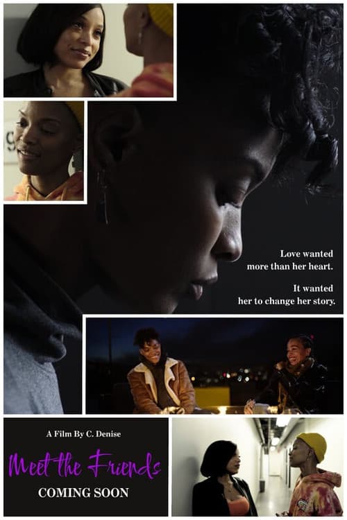 Meet The Friends poster