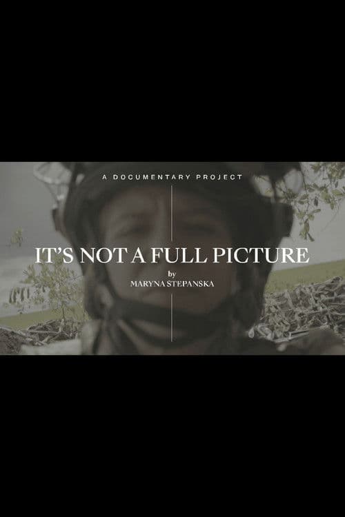 It’s Not A Full Picture poster
