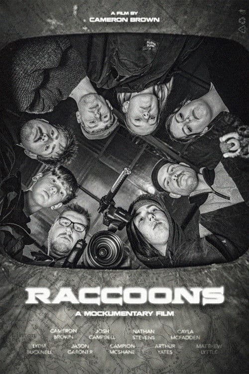 RACCOONS poster