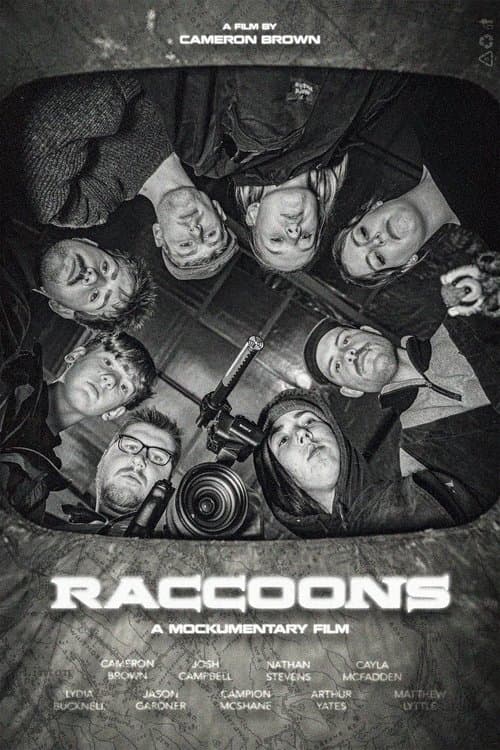 RACCOONS poster