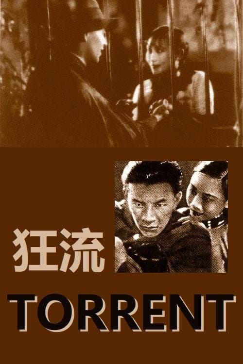 Torrent poster