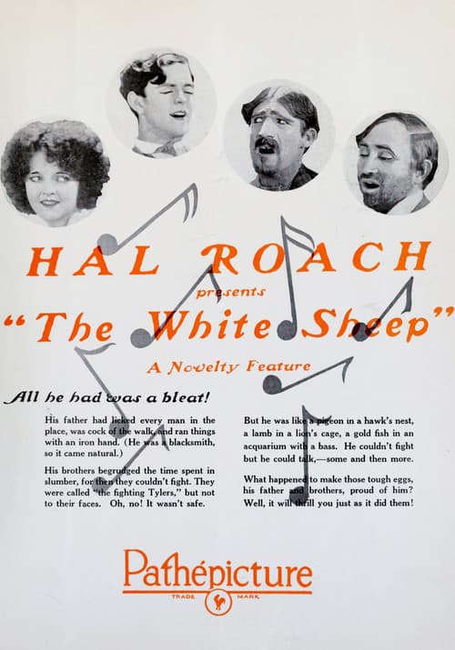 The White Sheep poster