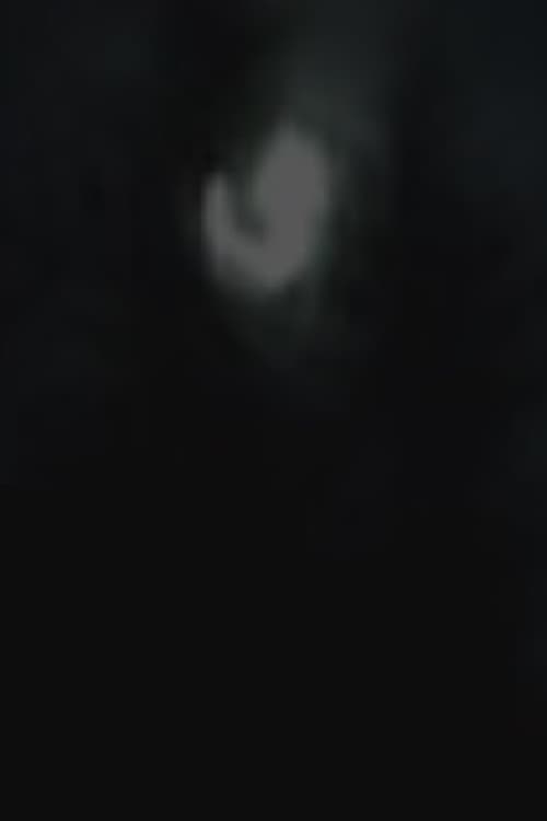 Moonlight poster