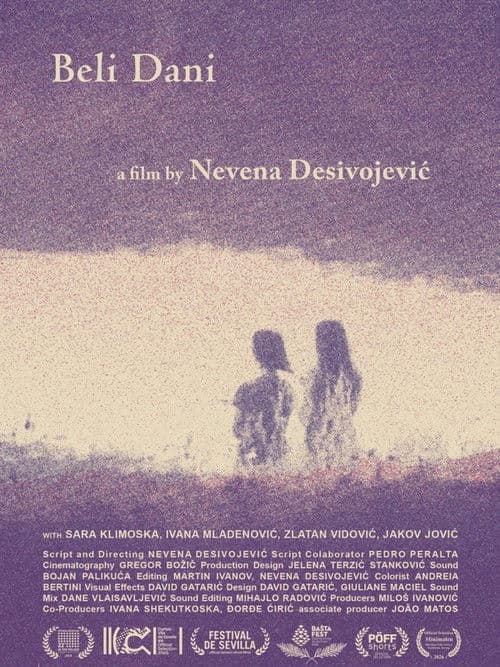 Bright Summer Days poster