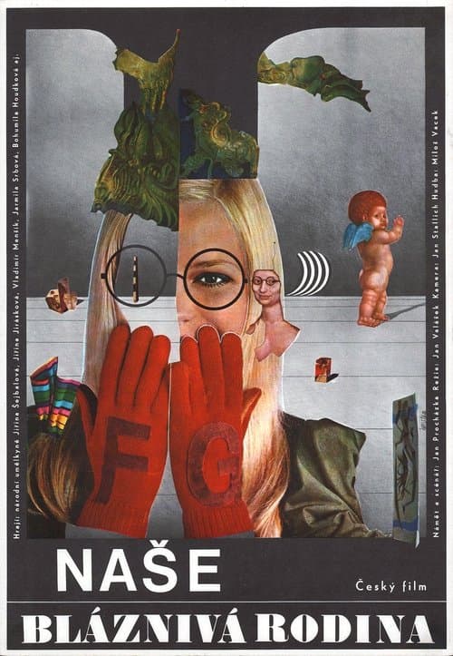 Naše bláznivá rodina poster