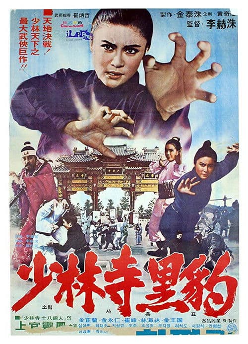 Heuk-pyo of Shaolin Temple poster
