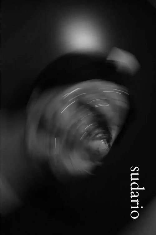 Sudario poster