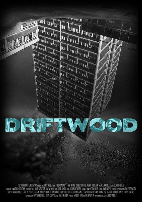 Driftwood poster