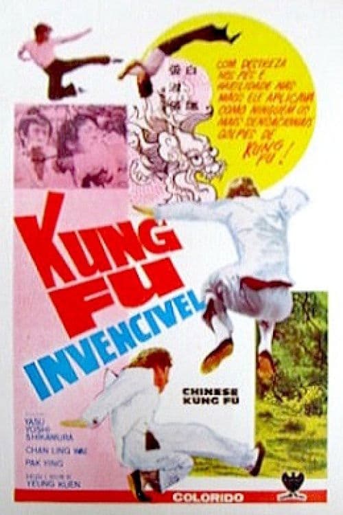 Chinese Kung Fu poster