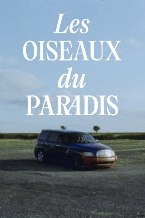 Les oiseaux du paradis poster
